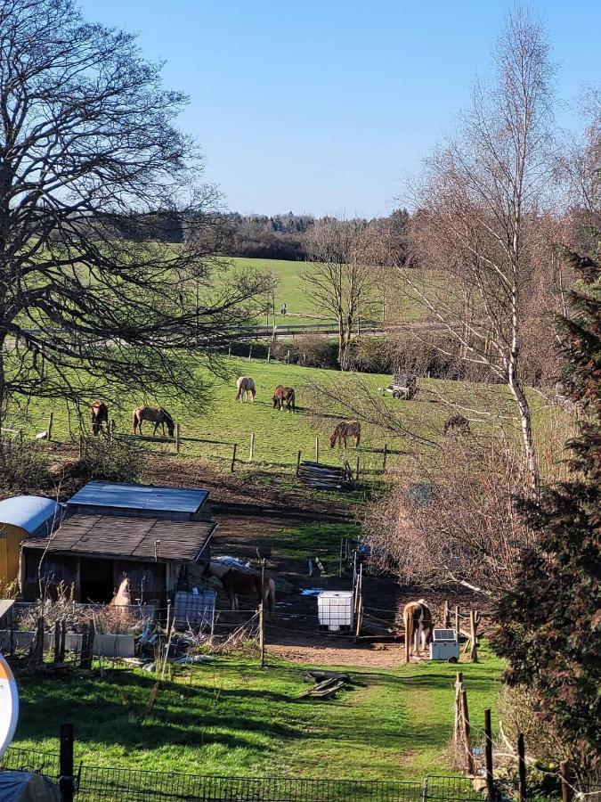 Ferienwohnung Classen Eifel Schleiden Exteriér fotografie