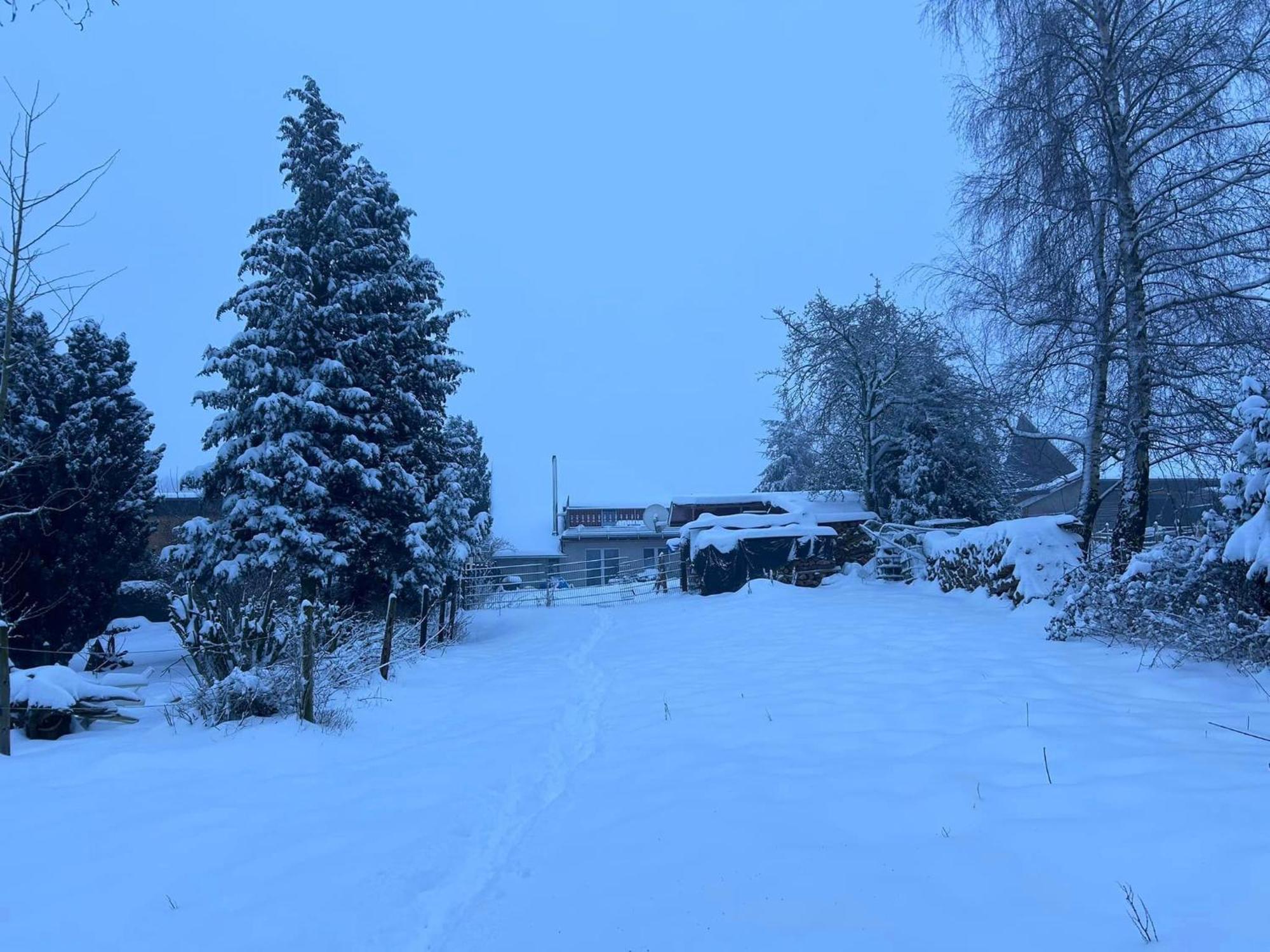 Ferienwohnung Classen Eifel Schleiden Exteriér fotografie